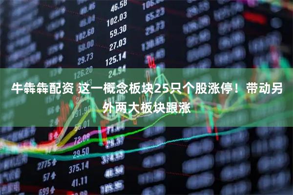 牛犇犇配资 这一概念板块25只个股涨停！带动另外两大板块跟涨